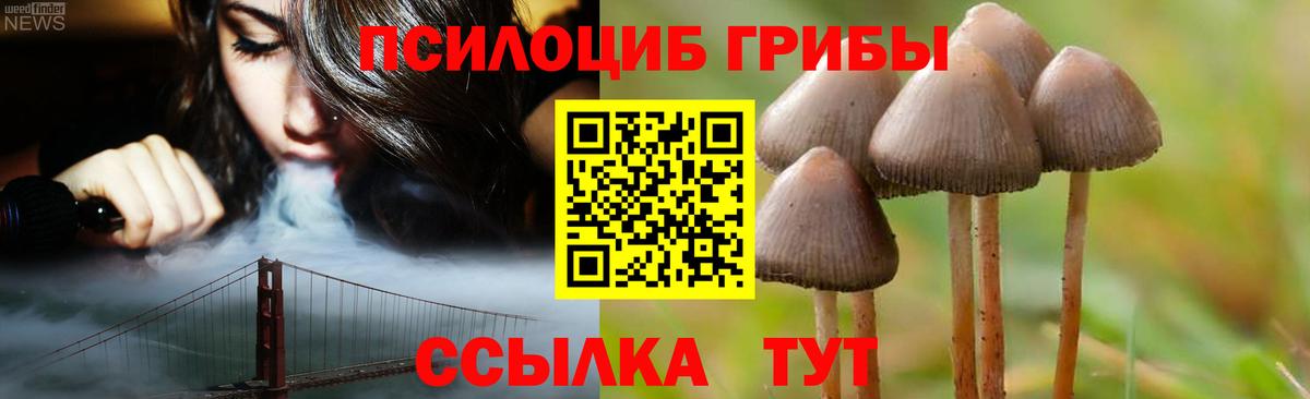 Кимовск  Галлюциногенные грибы Magic Shrooms  Галлюциногенные грибы мицелий  Вход с VPN 